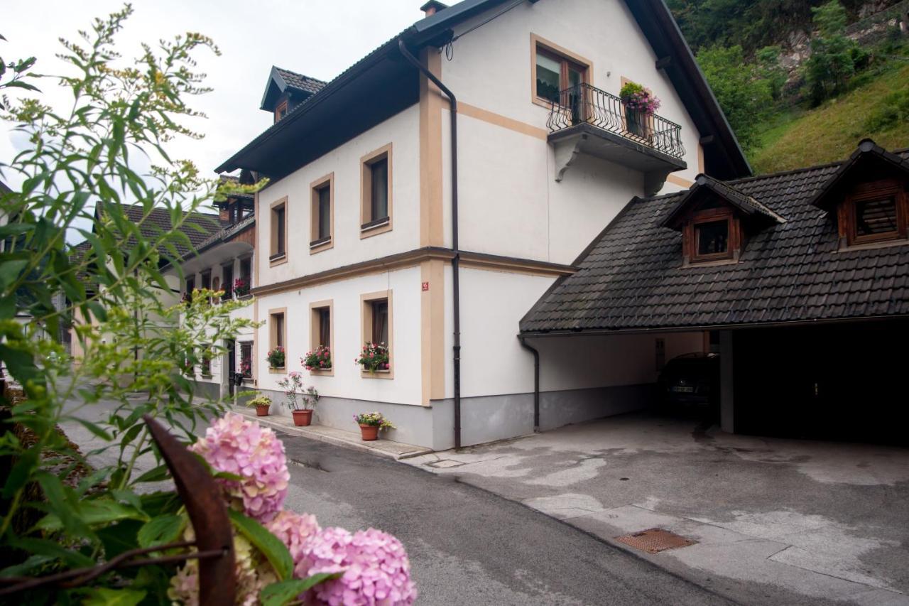 Apartma Ajda Zelezniki Esterno foto